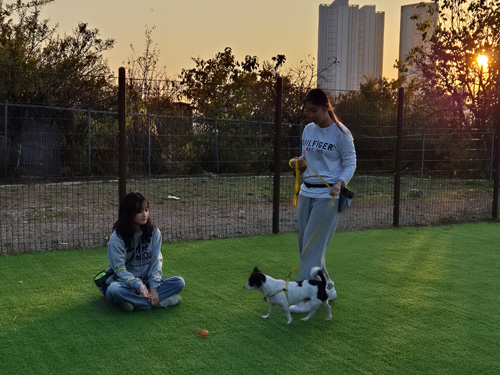 동물행동지도 훈련 사진